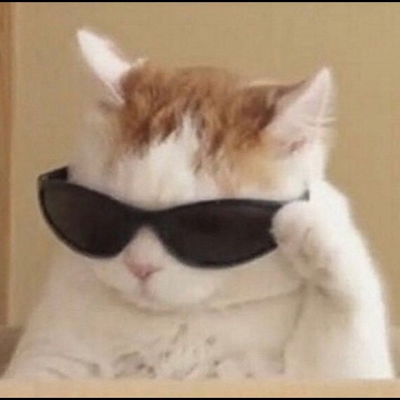 Meet your Posher, Angie - Picture 1 of 1